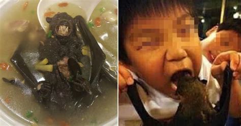 who are the bat in wuhan china